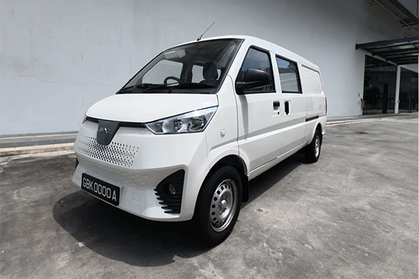 Linxys Van